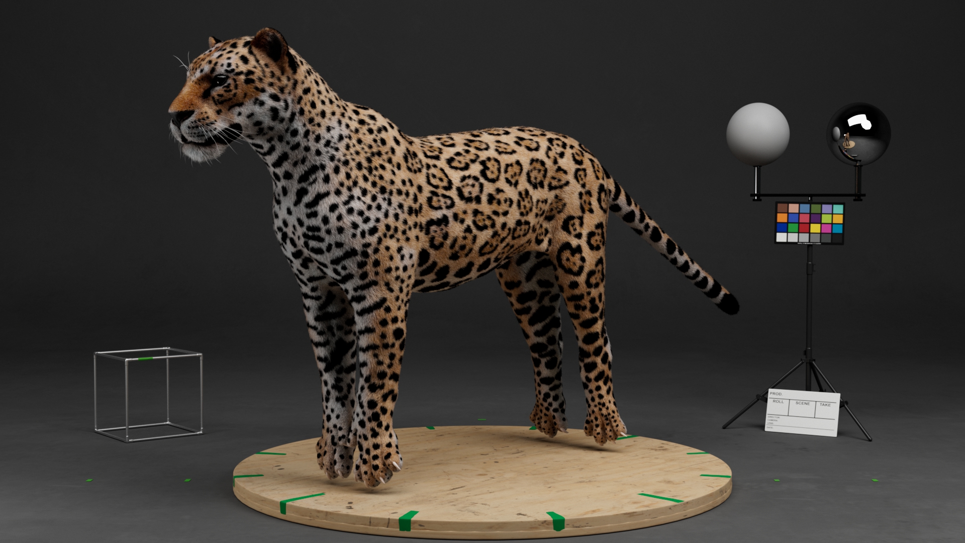 CG jaguar lookdev and groom turntable render